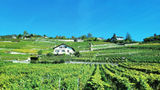 The vineyards outside Lausanne are listed as a Unesco World Heritage Site.