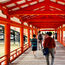 Miyajima visitors to pay tourist tax