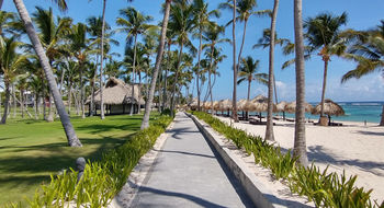 The path along the beach at the Club Med Punta Cana.